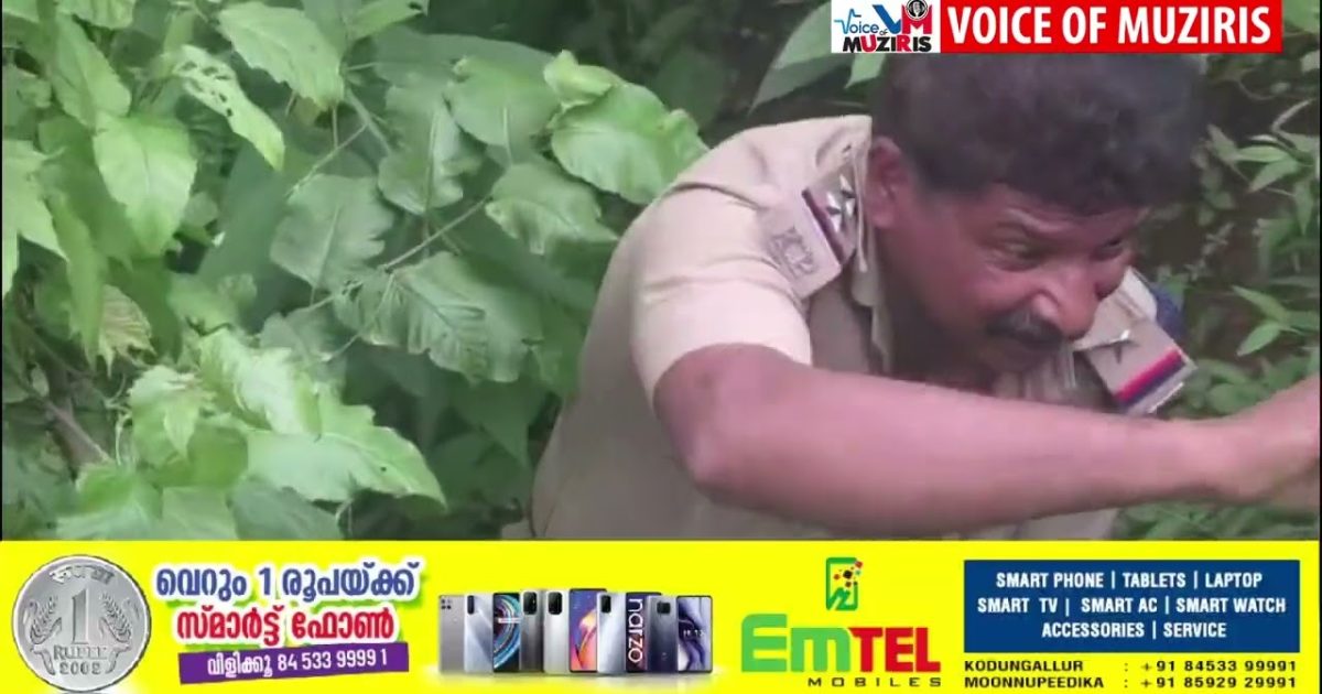 കൊക്കയിൽ വീണ വിനോദ സഞ്ചാരിയെ സാഹസികമായി രക്ഷപ്പെടുത്തി