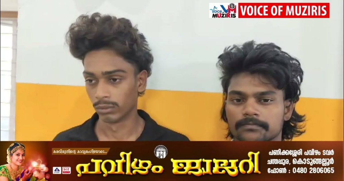 കൊടുങ്ങല്ലൂരിൽ ക്ഷേത്രങ്ങൾ കേന്ദ്രികരിച്ച് മോഷണം നടത്തുന്ന രണ്ട് പേർ പിടിയിൽ.