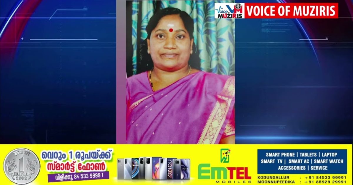 കൊടുങ്ങല്ലൂരിൽ പേവിഷ ബാധയേറ്റ വീട്ടമ്മ മരിച്ചു