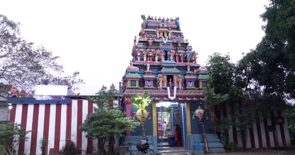 കൊടുങ്ങല്ലൂർ ടി കെ എസ് പുരം ശ്രീ ശ്രീനിവാസ പെരുമാൾ കുലശേഖര ആഴ്‌വാർ ക്ഷേത്രത്തിലെ ഈ വർഷത്തെ നവരാത്രി മഹോത്സവത്തിന് തുടക്കമായി