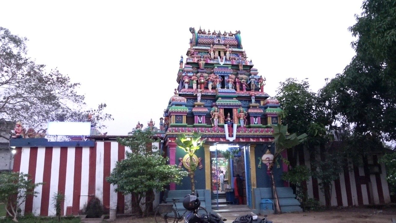 കൊടുങ്ങല്ലൂർ ടി കെ എസ് പുരം ശ്രീ ശ്രീനിവാസ പെരുമാൾ കുലശേഖര ആഴ്‌വാർ ക്ഷേത്രത്തിലെ ഈ വർഷത്തെ നവരാത്രി മഹോത്സവത്തിന് തുടക്കമായി