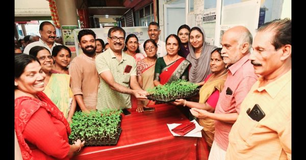 കൊടുങ്ങല്ലൂർ നഗരസഭ ചെണ്ടുമല്ലി തൈകൾ വിതരണം ചെയ്തു