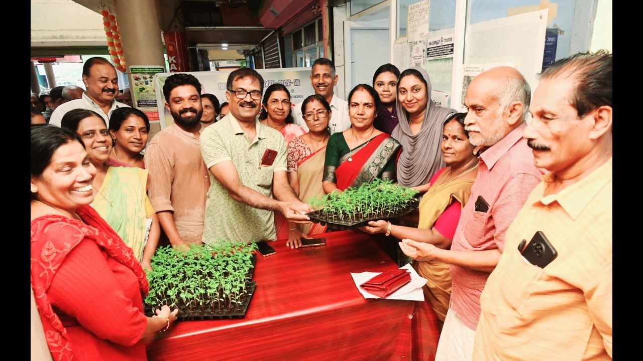 കൊടുങ്ങല്ലൂർ നഗരസഭ ചെണ്ടുമല്ലി തൈകൾ വിതരണം ചെയ്തു