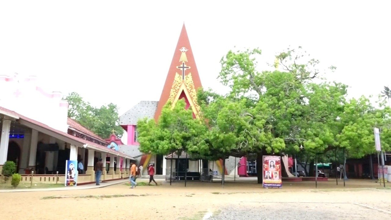 ചെട്ടിക്കാട് തീർത്ഥാടന കേന്ദ്രത്തിലെ വിശുദ്ധ അന്തോണീസിൻ്റെ ഊട്ടുതിരുനാൾ മെയ് 5 ചൊവ്വാഴ്ച കൊടികയറും.