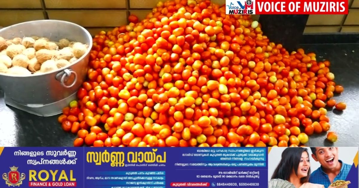 ചെട്ടിക്കാട് വിശുദ്ധ അന്തോണീസിൻ്റ തീർത്ഥാടന കേന്ദ്രത്തിൽ ഊട്ടു തിരുനാൾ നാളെ.ഒരുക്കങ്ങൾ പൂർത്തിയായി