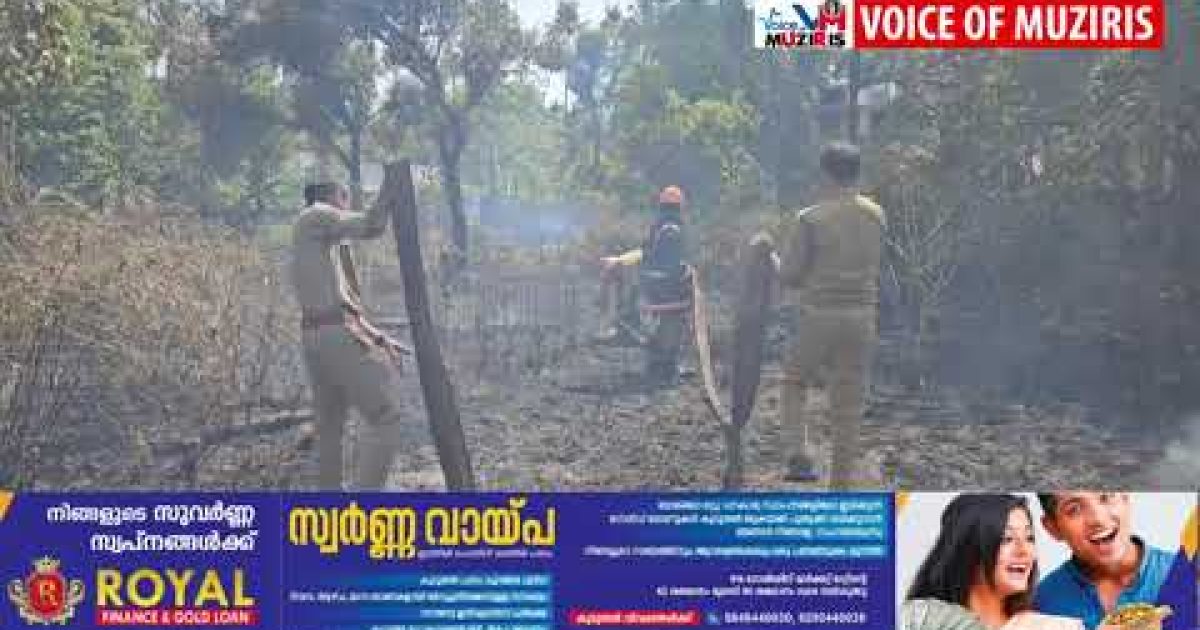 ചെന്ത്രാപ്പിന്നിയിൽ ആളൊഴിഞ്ഞ പറമ്പിൽ തീപിടിത്തം.