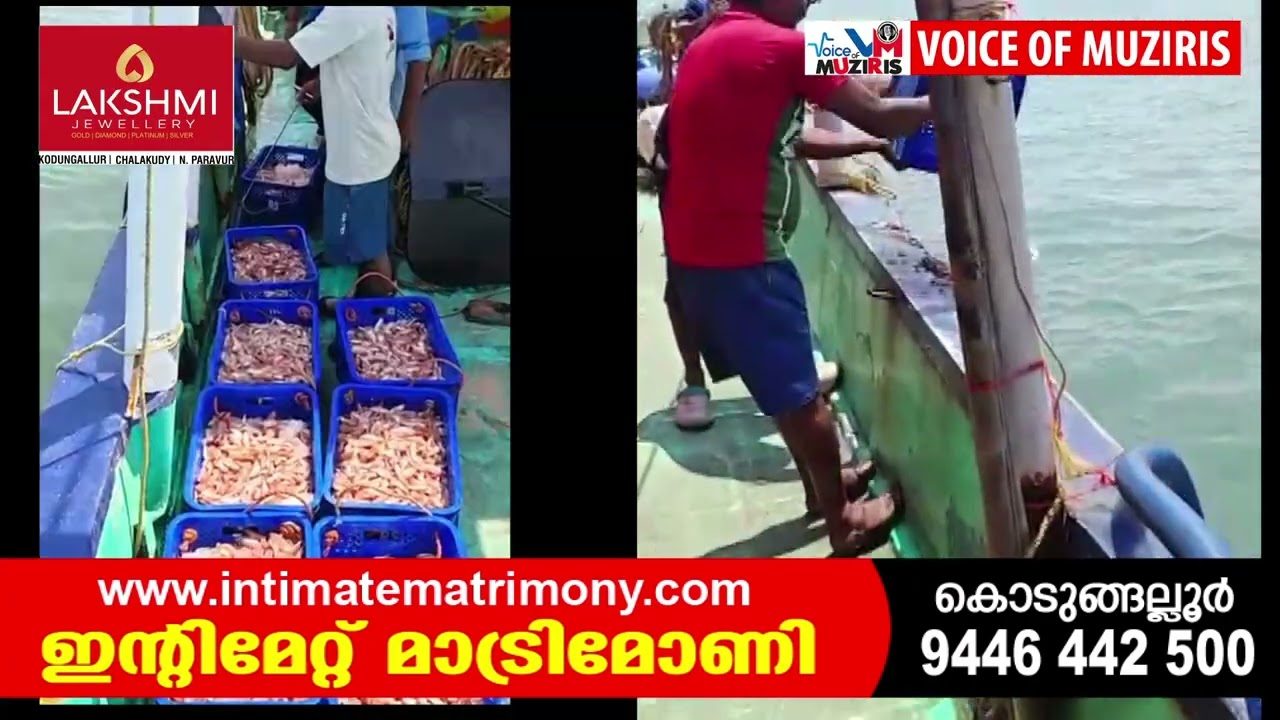തീവ്രതയേറിയ ലൈറ്റ് ഉപയോഗിച്ച് അനധികൃത മത്സ്യബന്ധനം നടത്തി വന്നിരുന്ന യാനങ്ങള്‍ക്കെതിരേ കര്‍ശന നടപടിയെടുത്ത് ഫിഷറീസ് – മറൈന്‍ എന്‍ഫോഴ്‌സ്‌മെന്റ്