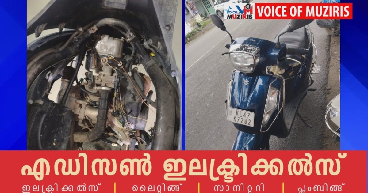 തെരുവ് നായ്ക്കളുടെ ആക്രമണത്തിൽ സ്കൂട്ടറിന് നാശനഷ്ടം.