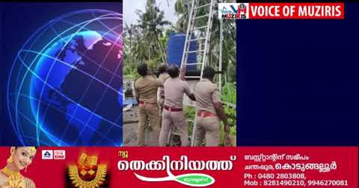 നായ്ക്കളെ പേടിച്ച് തെങ്ങിൽ കയറിയ പൂച്ചയെ രക്ഷിച്ച് ഫയർഫോഴ്സ്