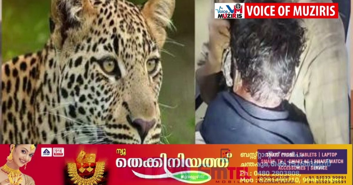 നാല് വയസുകാരനെ പുലി ആക്രമിച്ചു