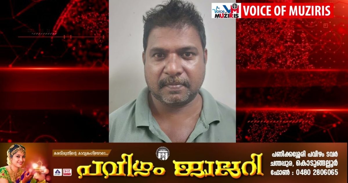 നിരവധി ക്രമിനൽ കേസുകളിലെ പ്രതിയായ എടത്തിരുത്തി സ്വദേശിയെ കാപ്പ ചുമത്തി 6 മാസത്തേക്ക് നാടുകടത്തി.