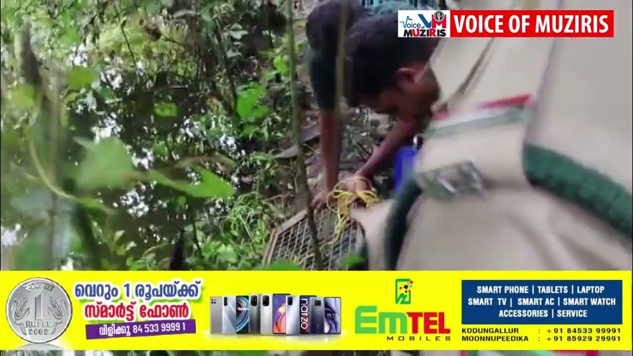 നീർനായ ശല്യം രൂക്ഷമായ മതിലകം പഞ്ചായത്തിലെ കഴുവിലങ്ങ് പ്രദേശത്തെ മത്സ്യകർഷകർക്ക് ആശ്വാസമായി വനംവകുപ്പ് കുളങ്ങളിൽ കൂടുകൾ സ്ഥാപിച്ചു.