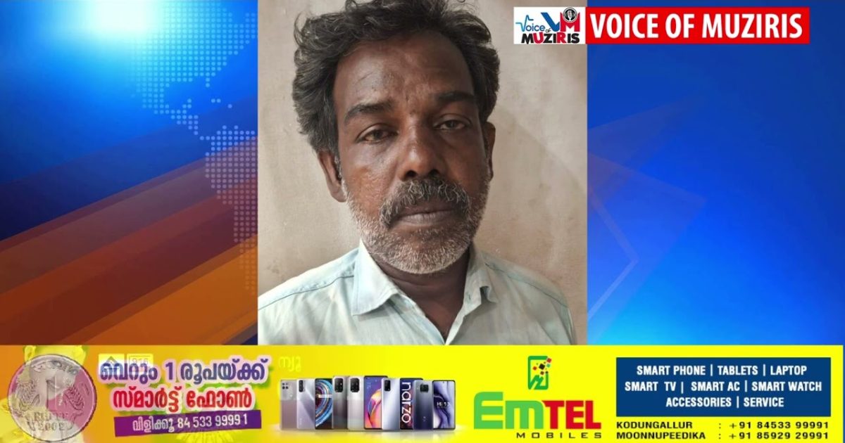 പെട്ടി ഓട്ടോറിക്ഷ മേഷ്ടിച്ച് കടത്തിക്കൊണ്ട് പോയ കേസിൽ കുപ്രസിദ്ധ മോഷ്ടാവ് നസീർ അറസ്റ്റിൽ