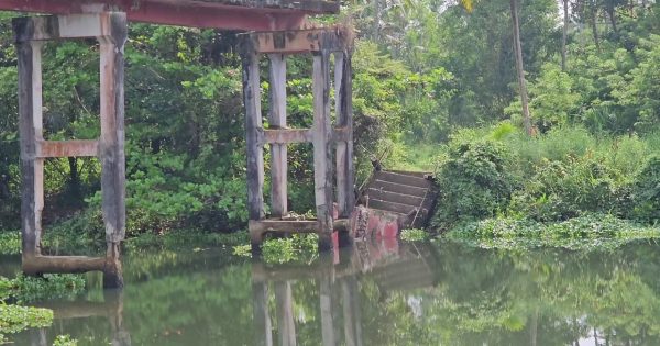 പെരിഞ്ഞനം പടിയൂർ പഞ്ചായത്തുകളെ ബന്ധിപ്പിക്കുന്ന ചക്കരപ്പാടം – മഴുവ്വഞ്ചേരി നടപ്പാലം തകർന്നുവീണു