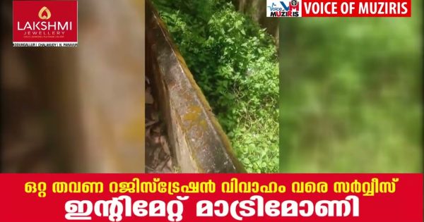 പെരിഞ്ഞനത്ത് തെരുവുനായയുടെ ആക്രമണം. എട്ട് പേർക്ക് നായയുടെ കടിയേറ്റു