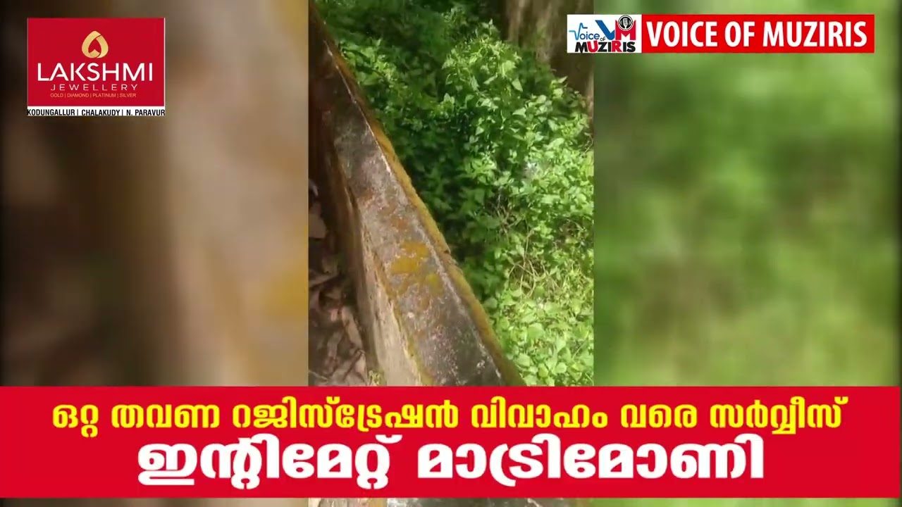 പെരിഞ്ഞനത്ത് തെരുവുനായയുടെ ആക്രമണം. എട്ട് പേർക്ക് നായയുടെ കടിയേറ്റു