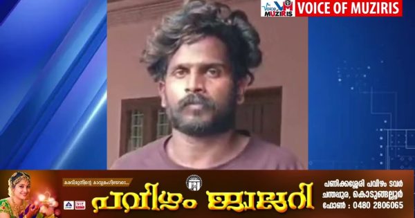 പോക്‌സോ കേസിൽ പ്രതിക്ക് 28 വർഷം കഠിനതടവും പിഴയും ശിക്ഷ