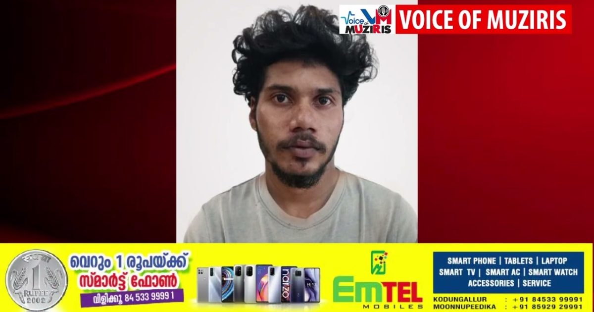 പോക്സോ കേസിൽ യുവാവ് അറസ്റ്റിൽ