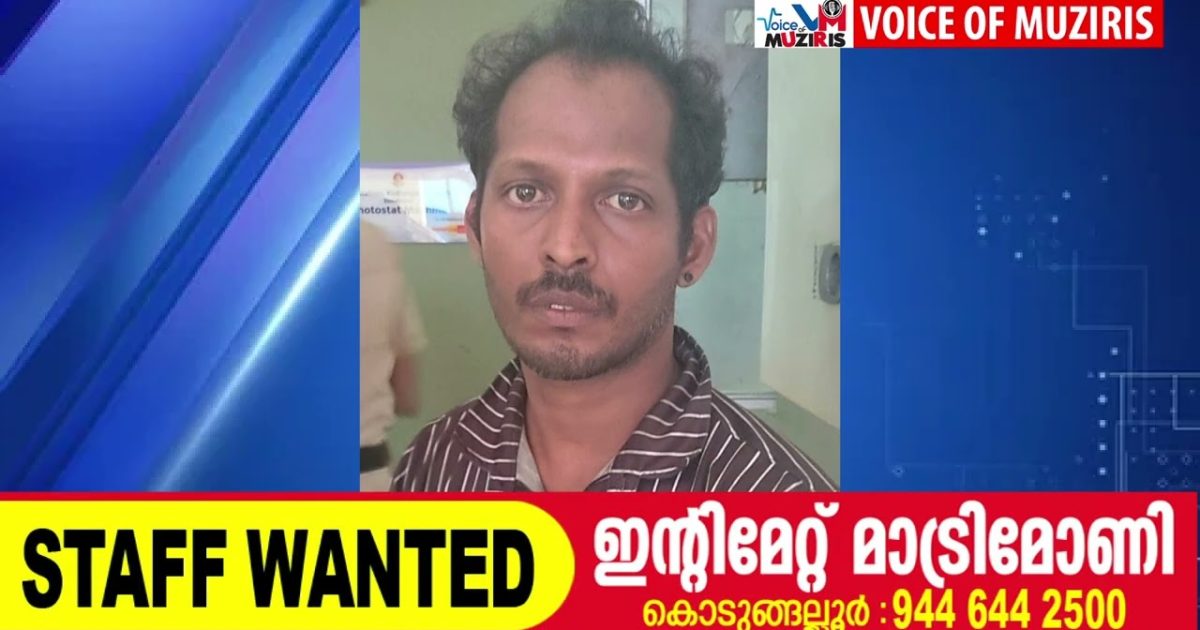 പ്രായപൂർത്തിയാകാത്ത പെൺകുട്ടിയെ പീഡിപ്പിച്ച പ്രതി അറസ്റ്റിൽ