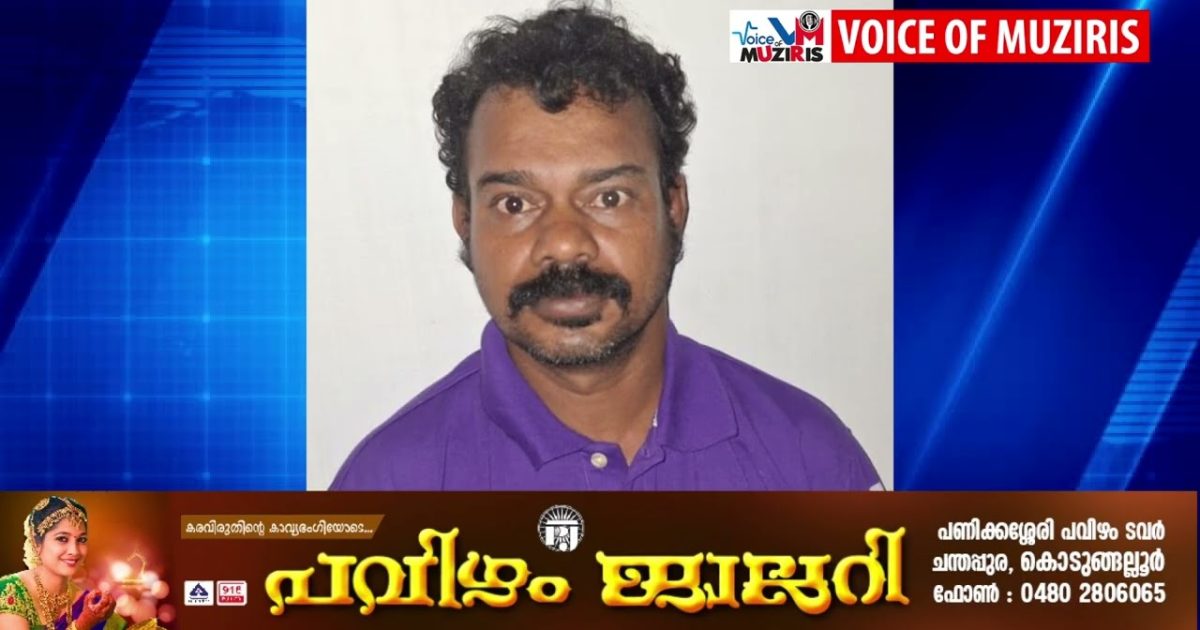 വളർത്തുനായയും പൂച്ചയും തമ്മിലുള്ള പ്രശ്നം:ആക്രമണം; ഒരാൾ അറസ്റ്റിൽ.