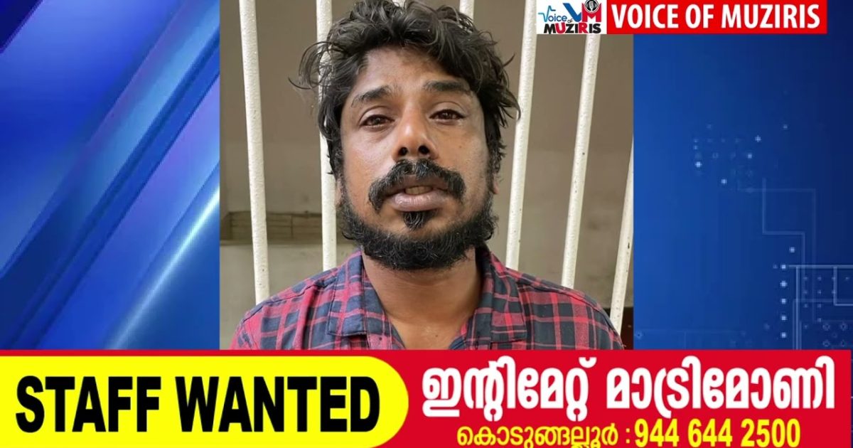 വിദ്യാർത്ഥിനിയെ ആക്രമിച്ച കേസിൽ പ്രതി അറസ്റ്റിൽ