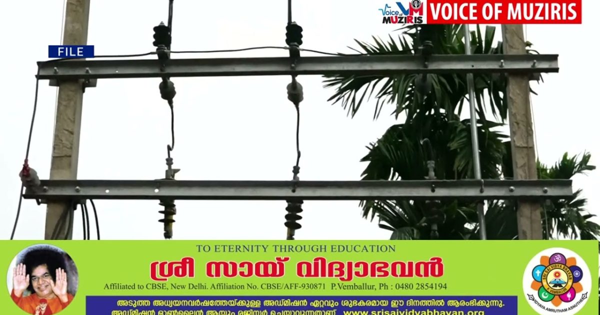 വൈദ്യുതി ലൈനിലെ അറ്റകുറ്റപ്പണിക്കിടെ ലൈൻമാന് ഷോക്കേറ്റു