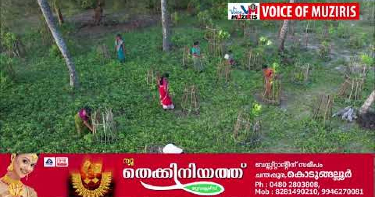 ശ്രീനാരായണപുരം ശംഖുകുളങ്ങര കാവിന്‌ പച്ചത്തുരുത്ത് കാവിനുള്ള പുരസ്‌കാരം..