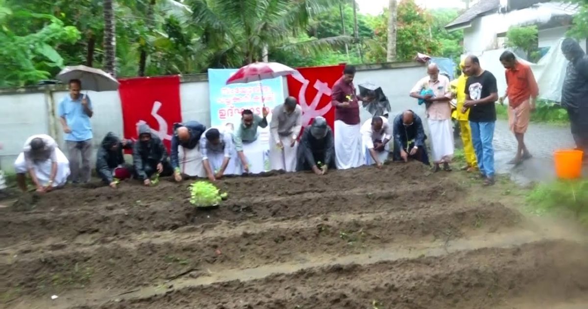 സിപിഎം ശ്രീനാരായണപുരം ലോക്കൽ കമ്മറ്റിയുടെ ആഭിമുഖ്യത്തിലുള്ള സംയോജിത പച്ചകറികൃഷിക്ക് തുടക്കമായി.