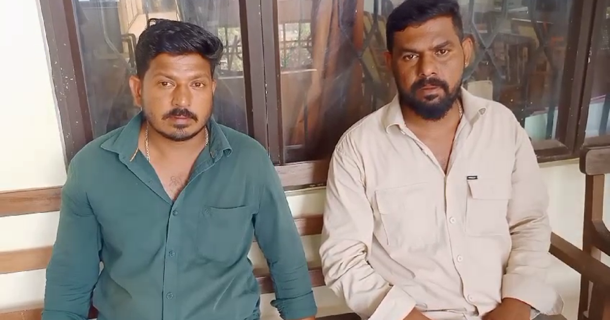 Vlcsnap 2025 03 29 16h29m16s337